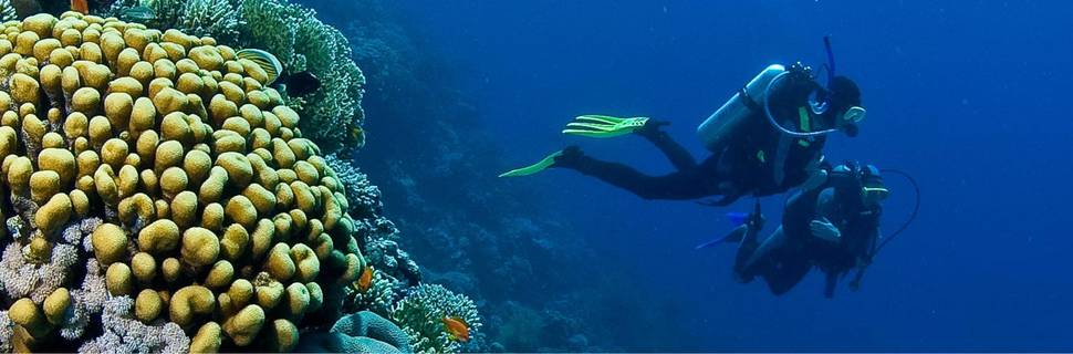 Dahab Divers Lodge - Padi 5* dive centre Dahab