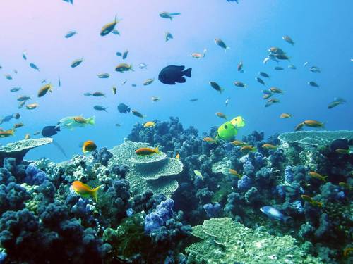 Big Blue Diving Centre