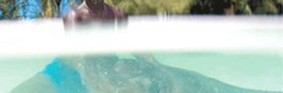 Brendal's Dive Center