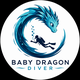 Baby Dragon Diver