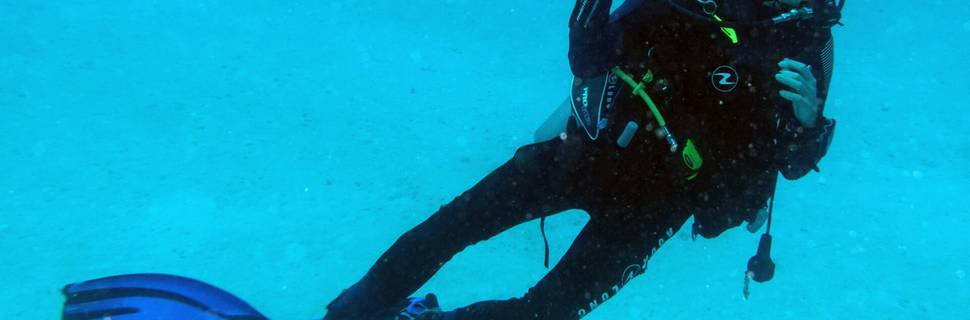 Dive Ability Ltd