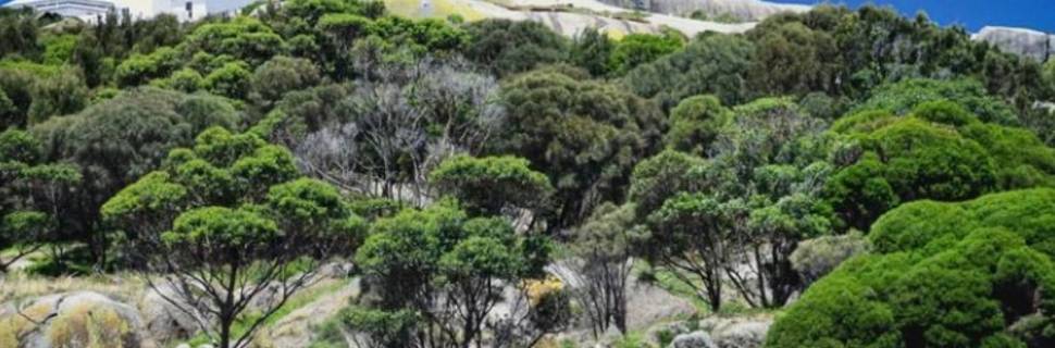 Seal Swim Australia & Montague Island Discovery To