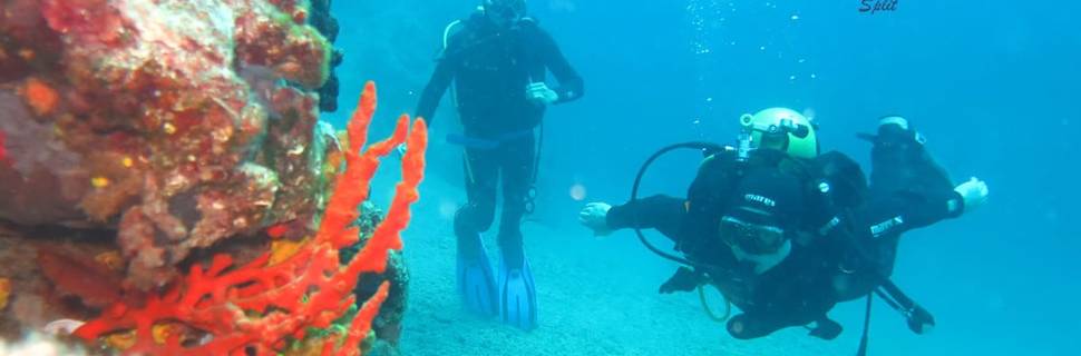 Blu Diving Center