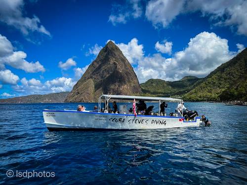 Dive Saint Lucia/Scuba Steve’s Diving