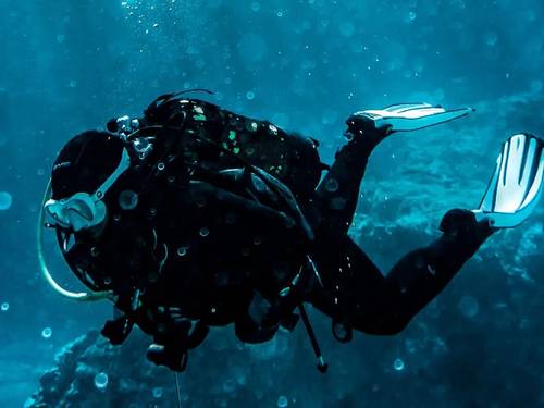 Dive HQ Wellington