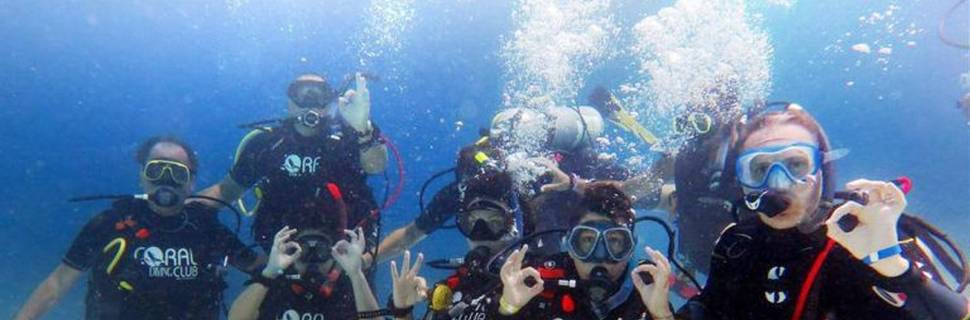 Coral Diving Club