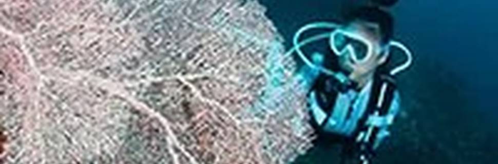 Euro-Divers Alila Kothaifaru