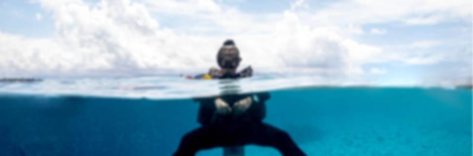 Blue Marine Dive Resort