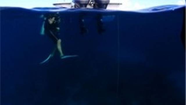 Blue Water Divers