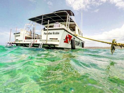 Paradise Scuba