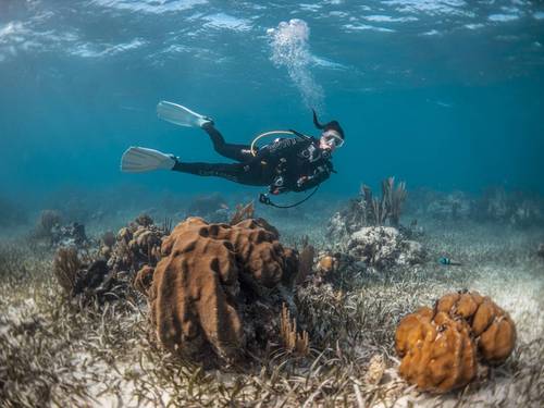 Juara Scuba Academy (Tioman)