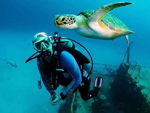 Acqua Sub