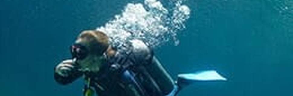 Koox Diving Cancun