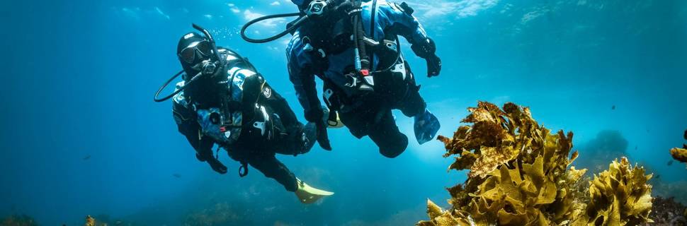 ABYSS UNDERWATER WORLD EXPLORERS BENELUX