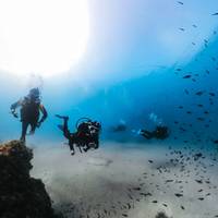 Dive & Dive