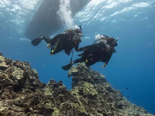 Go Divers