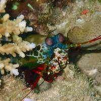 Eco2 Diving
