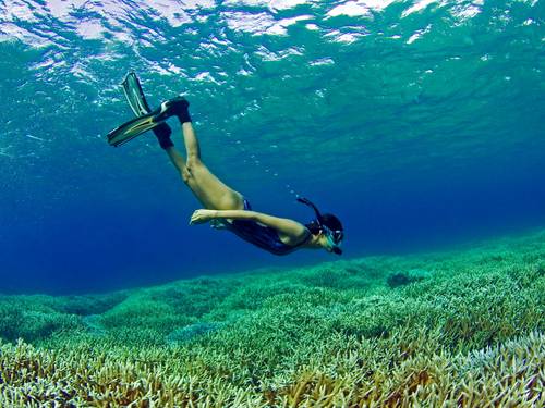 Island Scuba - Scuba Diving In Sri Lanka