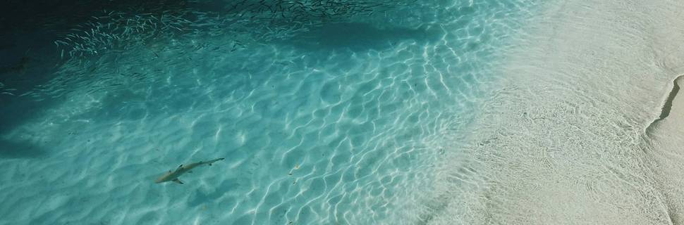 Back to Basics Adventures Scuba Diving
