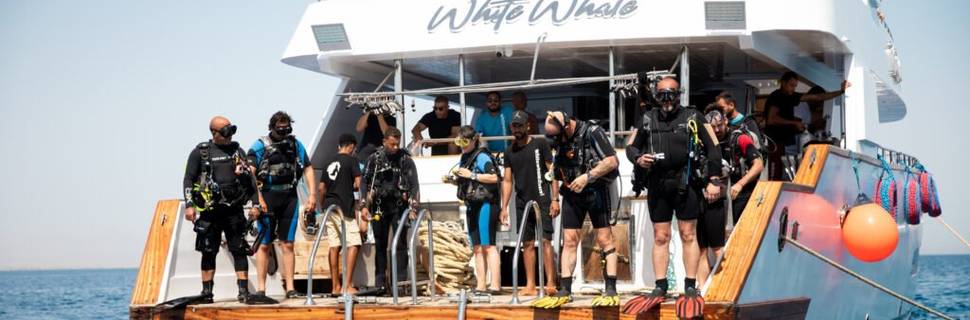 White Whale Divers | Scuba Diving Center in Hurghada