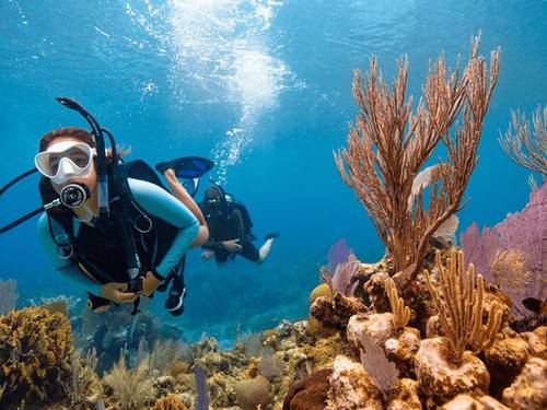 DiveWorld Hungary