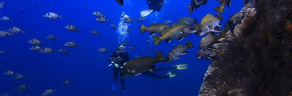 Roccaruja Diving Center