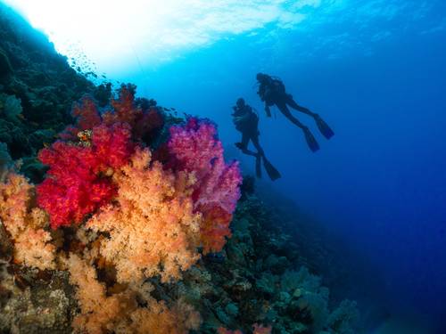 Story Divers - Diving Center Sharm el Sheikh