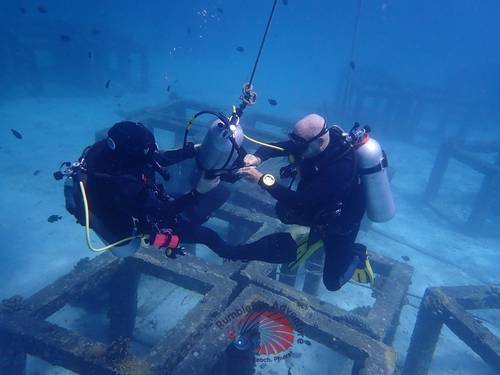 Rumblefish Adventure Kata Beach PADI 5 STAR IDC Dive Center