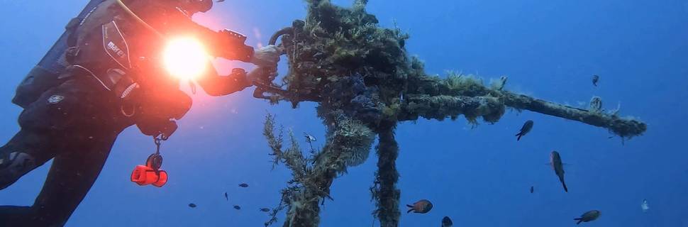 Dawn Diving