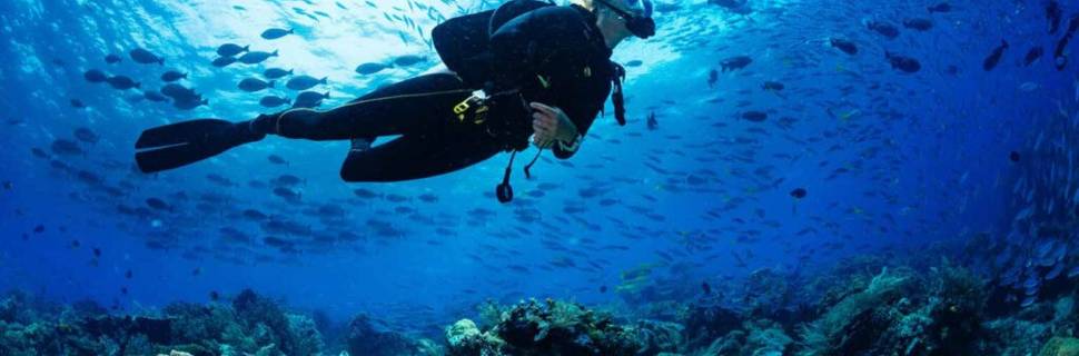 Blue Sea Dive Club Sharm (White Hills)