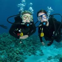 Let's Dive Center