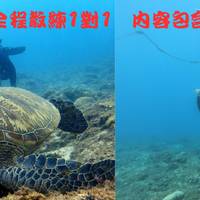 Action Diving Group