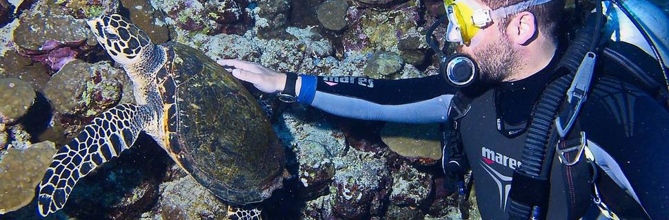 Searacer Dive Academy