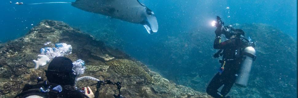 Ocean Dive League IDC center