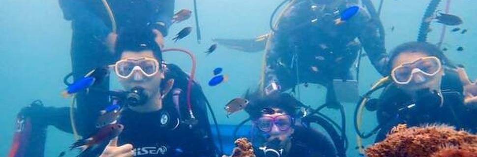 Aodi Diving Center