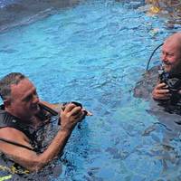 Dolphin Divers