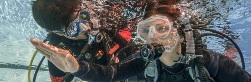 Dive Pro Group