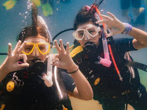Thalassa Diving Center Chalkis
