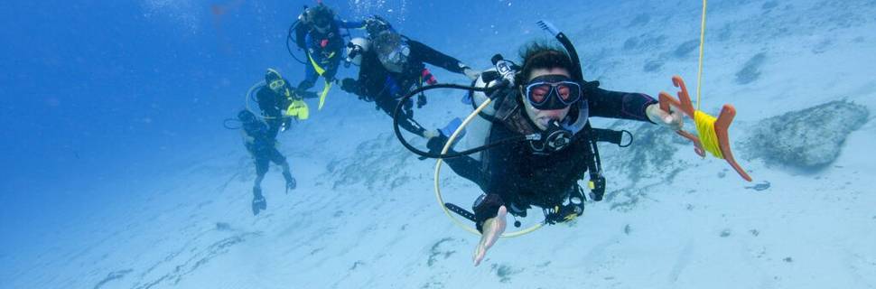 S - DIVING