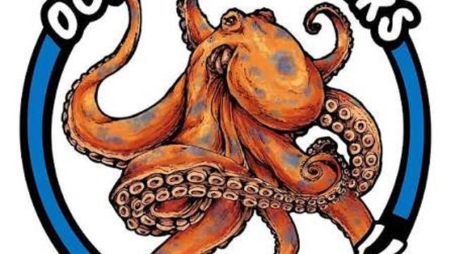 Octopus Divers