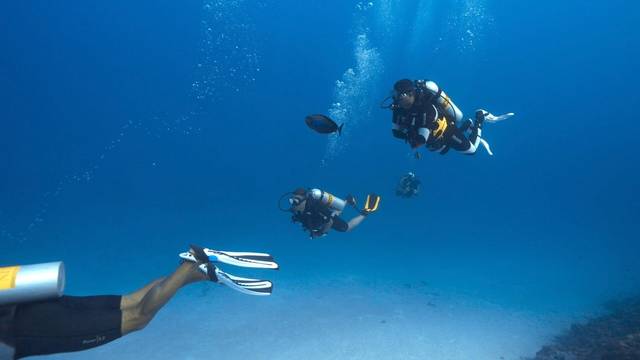 ACQUA ADVENTURES RASDHOO | DIVING & EXCURSIONS