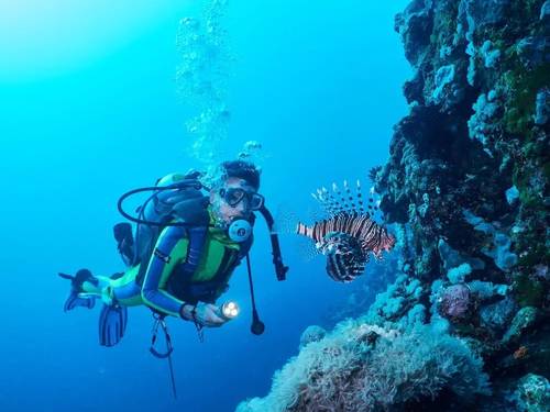 Go Diving