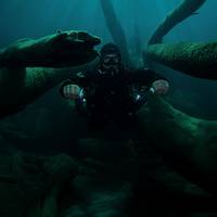 Pancora Diving