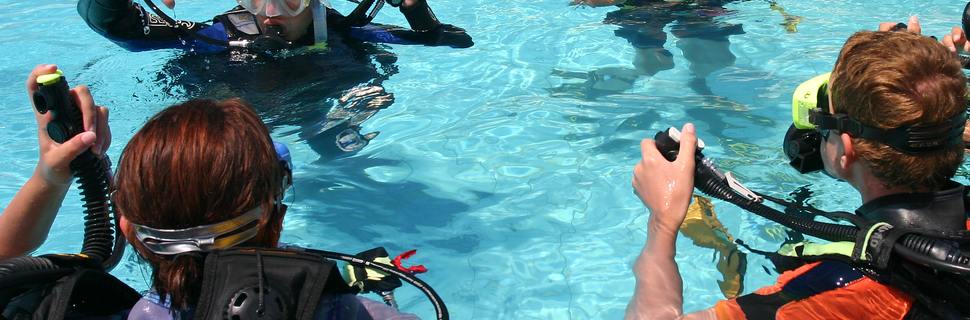 Sussex Diving & Leisure