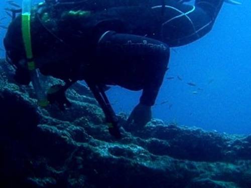 Deep Blue Dive Mexico