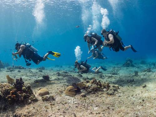 Sand Dollar Sports Dive Center