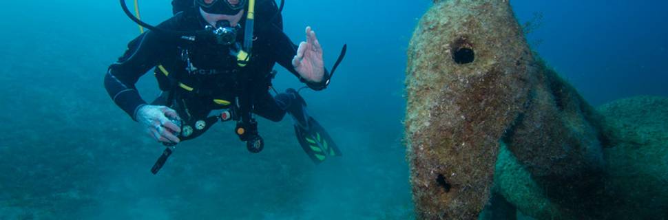Donkey Divers Limited