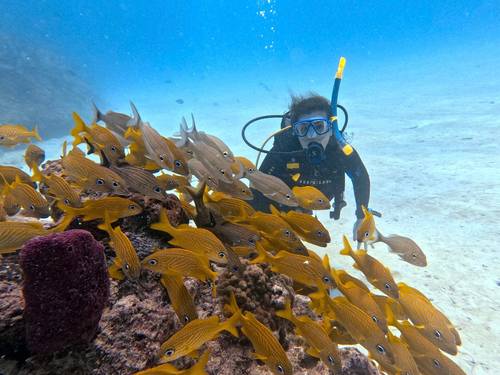 XICO DIVE CENTER