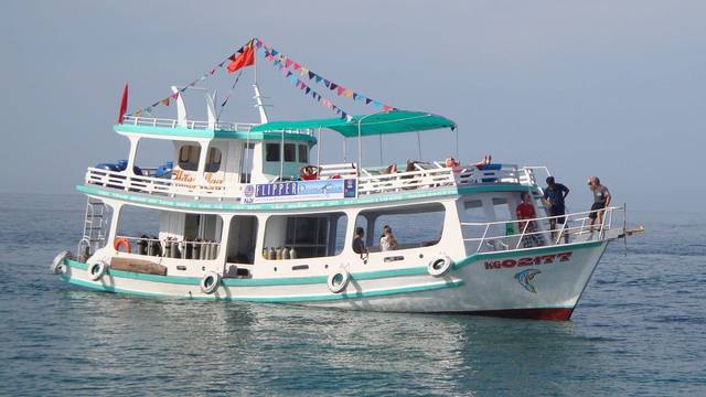 Flipper Diving Club