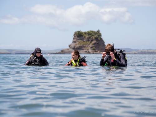 Auckland Scuba